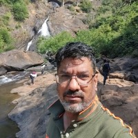 Pepe Jeans India Limited Employee Ashish Awal's profile photo