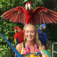 Houston Methodist Employee Lauren Hendrix's profile photo