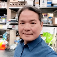 Washington University School of Medicine in St. Louis Employee Kian Lim's profile photo