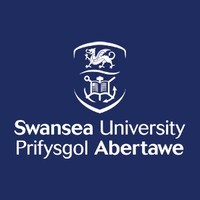 Swansea University Employee Steve Owen's profile photo