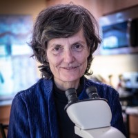 The Soil Food Web School Employee Elaine Ingham's profile photo