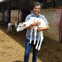 eVerse.AI Employee Ashish S's profile photo