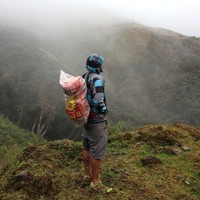 Nidecker Group Employee David Fernandez's profile photo