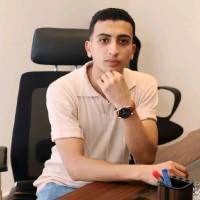 GOUDA, Egypt Employee Amer Esmael's profile photo