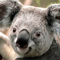 Samuel Leon's profile photo