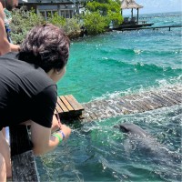 Alex C's profile photo