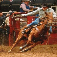 Belton ISD Employee Jesse Gonzales's profile photo