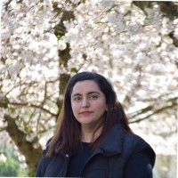 Shakiba Kamalizadeh Email