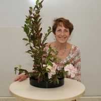 Seattle Cancer Care Alliance Employee Kim Margolin's profile photo