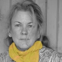 LMT Communications, Inc. Employee Tarol Samuelson's profile photo