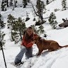 Cotopaxi Employee Karyn McKenna's profile photo