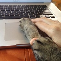 Artful Beast, LLC Employee Candace Cunningham's profile photo