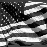 Kleeberg Sheet Metal & Kleeberg Mechanical Services Employee Matt Wells's profile photo