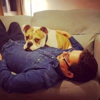 Woodgreen Pets Charity Employee Christopher Swallow's profile photo