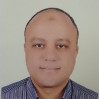 Wael Sheta Email