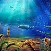 Symbiosis Online Publishing Employee Kevin Parker's profile photo