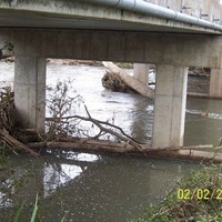Department of Transport & Main Roads Employee Steve Crisp's profile photo