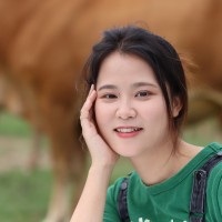 Ava Tan Email & Phone Number