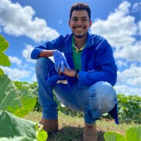 Itaueira Agropecuária s.A. Employee Bruno de Moura's profile photo