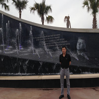 FITI Employee Yan Lin's profile photo