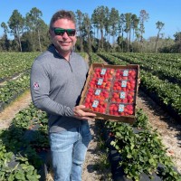 North Bay Produce Co Employee Ryan Lockman's profile photo