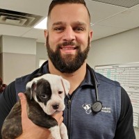 Exclusively Cats Medical Center of Medford Employee Chris Torre's profile photo