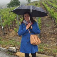 TLH Employee Vittoria Calabretto's profile photo