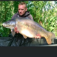 Stephen Harley Email