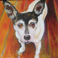 Humboldt State University Employee Jay Schock's profile photo