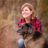 Wilson Turner Kosmo LLP Employee Lois M. Kosch's profile photo