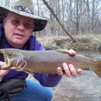 Dave Dellinger Email & Phone Number
