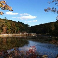 Rick Han Email & Phone Number