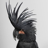 Dharam Digital Employee Sachin Dindor's profile photo