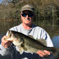Dave Roberson Email & Phone Number