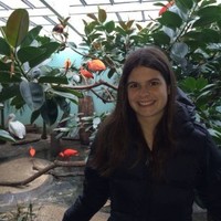 QA Wolf - 80% Test Coverage in 4 Months Employee Laura Cressman's profile photo