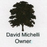 David Michelli