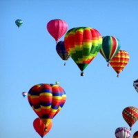 TrueParallel Employee True Administrator's profile photo