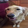 Diddo Employee Gavin Sutherland's profile photo
