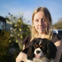Lisa Dahlgren Email & Phone Number