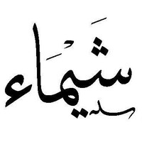 Shaimaa al-Mansour Email