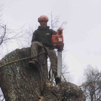 PJM Landscape & Construction Employee Patrick Mulhern's profile photo