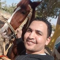 Freelance translator/interpreter Employee Abdullah Badawi's profile photo