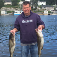 Second To None, Inc. Employee Gary Leitner's profile photo
