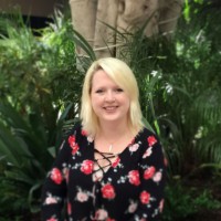 Ani Thomson Email & Phone Number