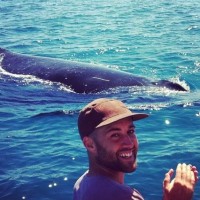 Cornwall Wildlife Trust Employee Scott Marsden's profile photo