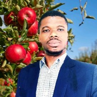 Djoli Employee Cédrique Nani's profile photo