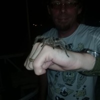 Not From Around Here Employee Chris Losh's profile photo