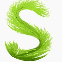 BITSolutionsus LLC Employee Sandeep Amgoth's profile photo