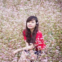 Hoang Thu Email