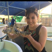 Veterinary Referral Hospital Employee Samantha Gilbert's profile photo